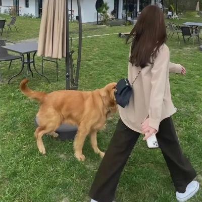 艾曼纽夫人