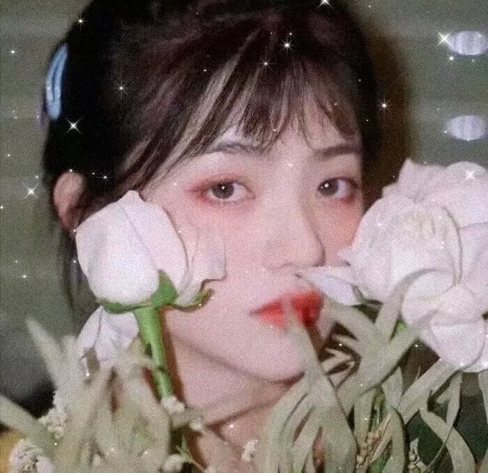 万圣德加的传奇